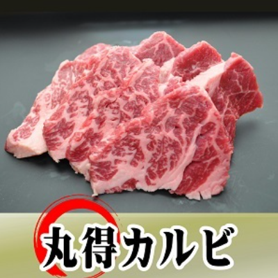 BBQにもおうち焼肉にも！