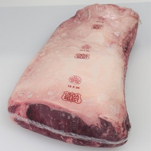 ステーニに最適なストリップロイン