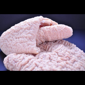 牛盲腸をボイルした牛白