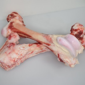 とても大きな牛の骨ゲンコツ