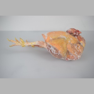 韓国行事でよく使用される親鳥