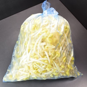 韓国料理ナムルに使われる豆もやし